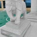阳泉 白麻花岗岩动物异形石雕-大象
