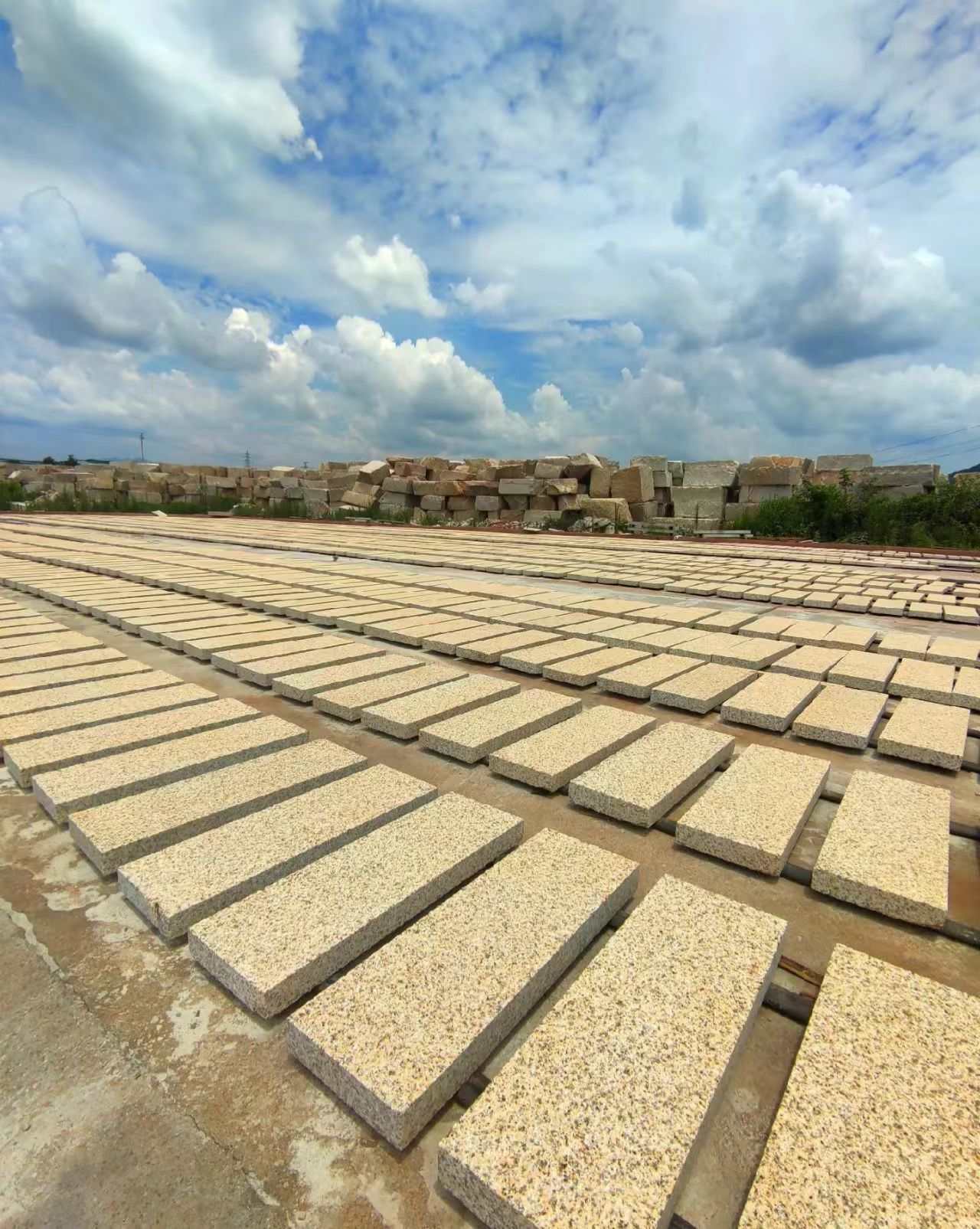 阳泉 黄金麻花岗岩荔枝面地铺石防护中